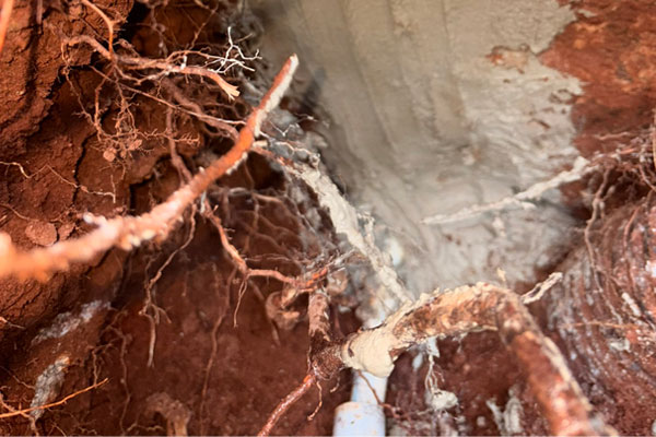 Leak Repair